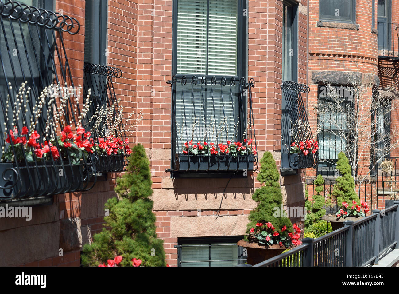 Window box and garden urn decoration with bright red flowers of