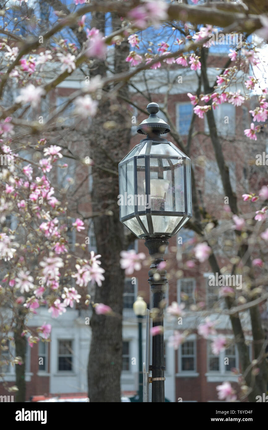 Vintage street lights hi-res stock photography and images - Alamy