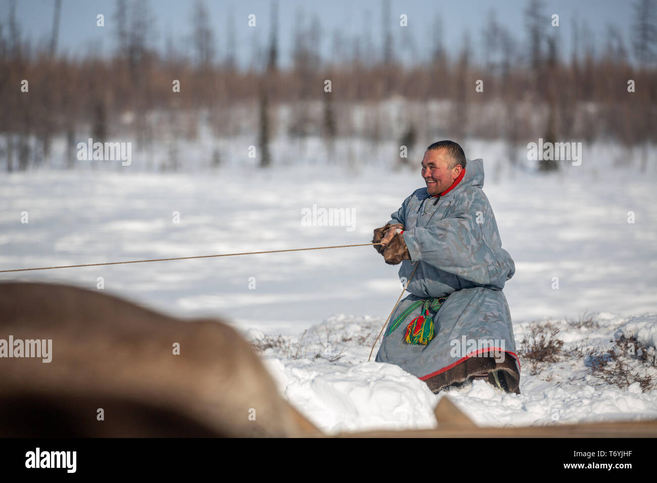 Russia, Yamal-Nenets Autonomous Region, Yamal peninsula, Nenets reindeer herders at camp Stock Photo