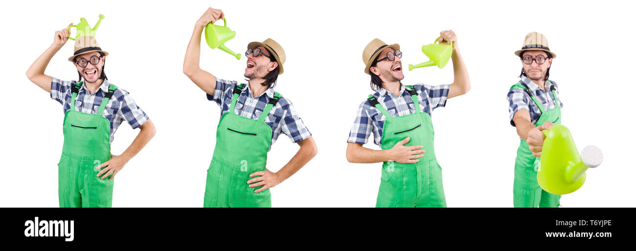Funny gardener with watering can isolated on white Stock Photo - Alamy