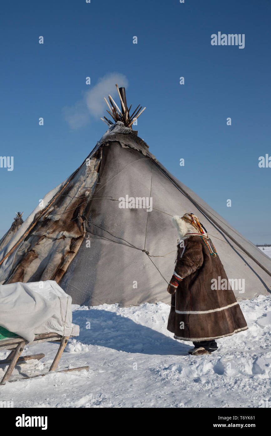 Russia, Yamal-Nenets Autonomous Region, Yamal peninsula Stock Photo - Alamy