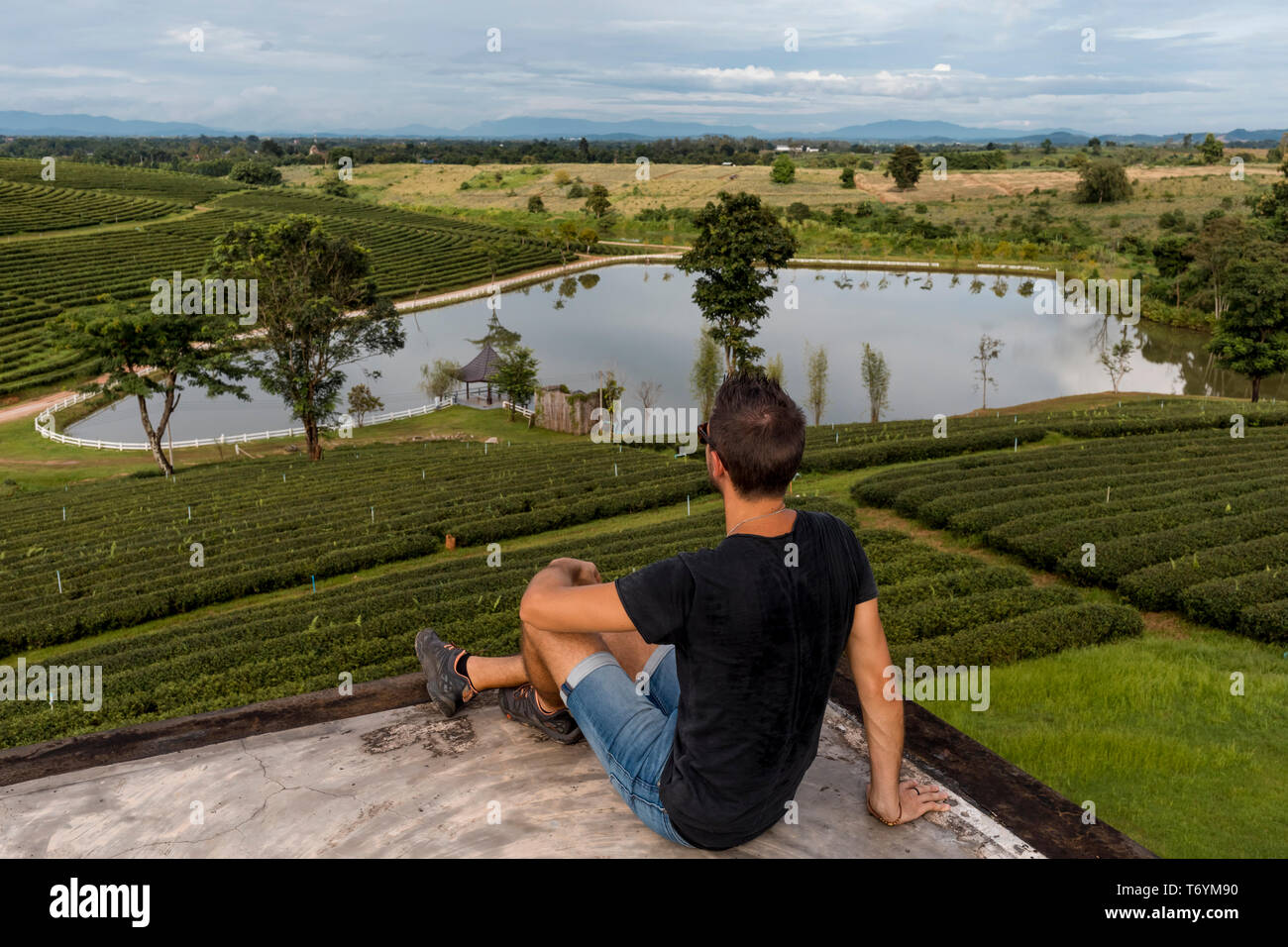 Traveller looking a Scenic view of a tea crops in Chiang Rai, Thai Stock Photo