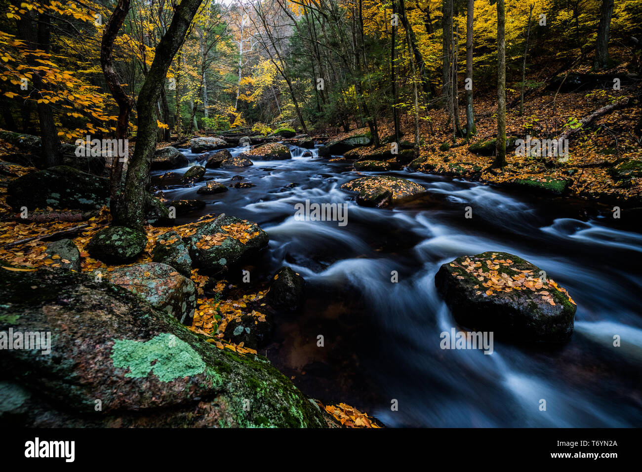Cotton Hollow stream during autumn in Connecticut Stock Photo