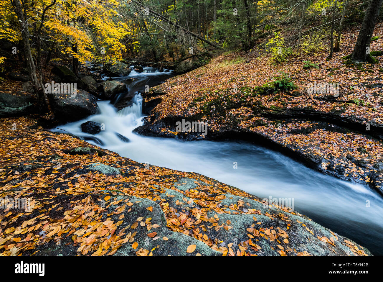 Waterfall and raging water in Cotton Hollow in central Connecticut Stock Photo
