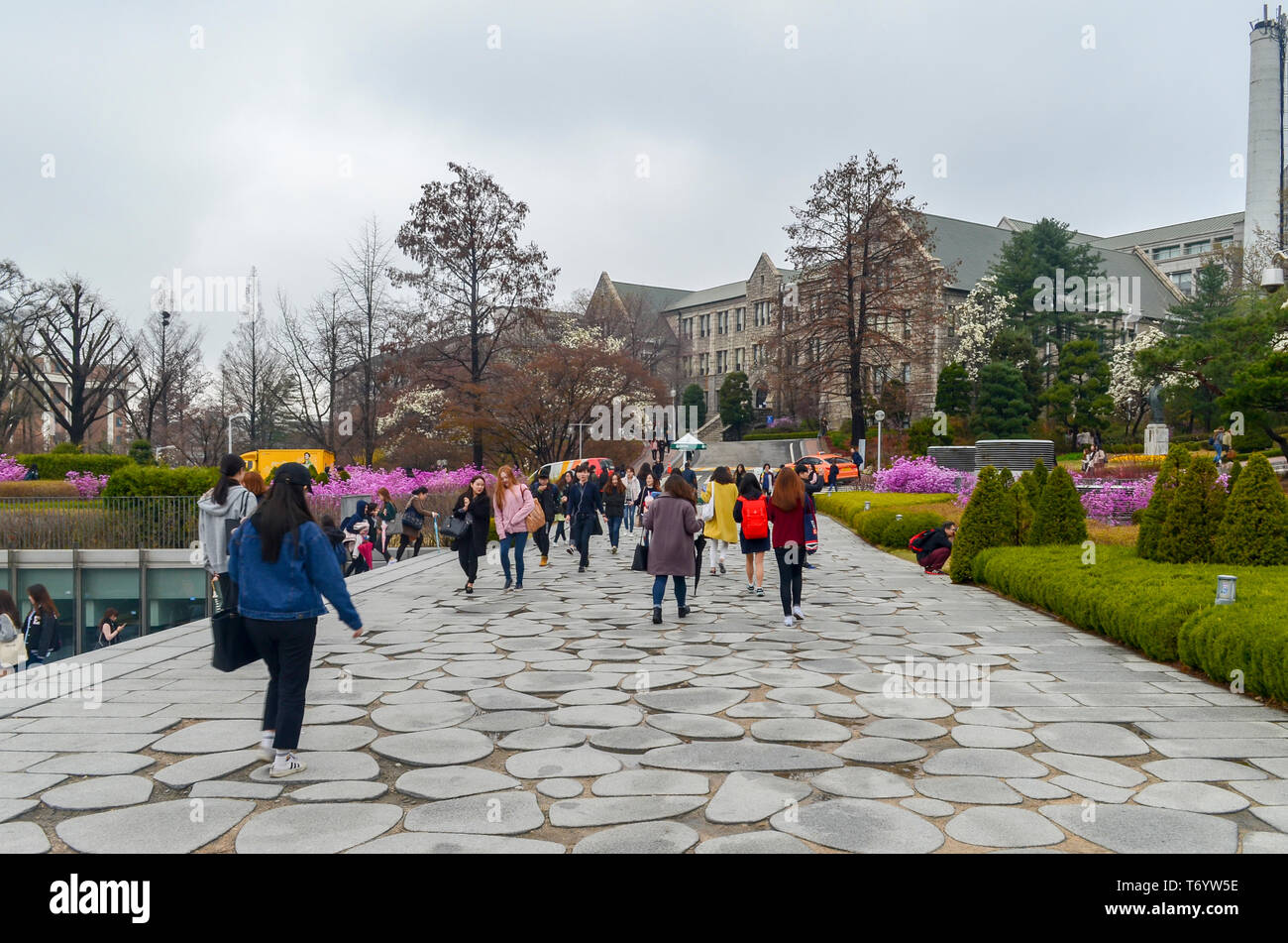 Korea University Students Stock Photos Korea University Students