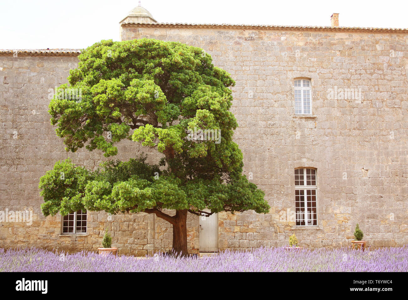 Abbey Fontfroide Narbonne. France Stock Photo
