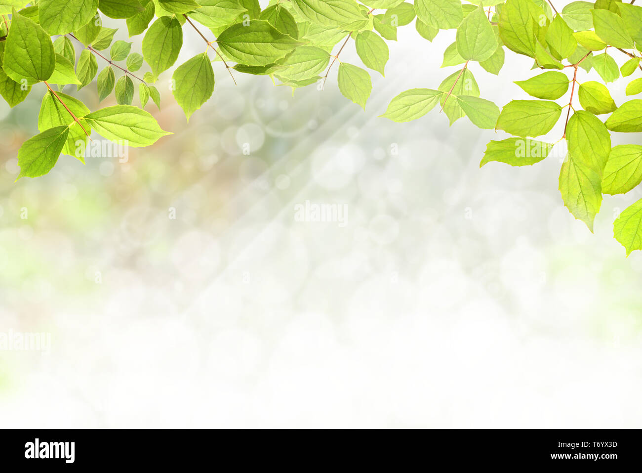 344 hi-res stock photography and images - Alamy
