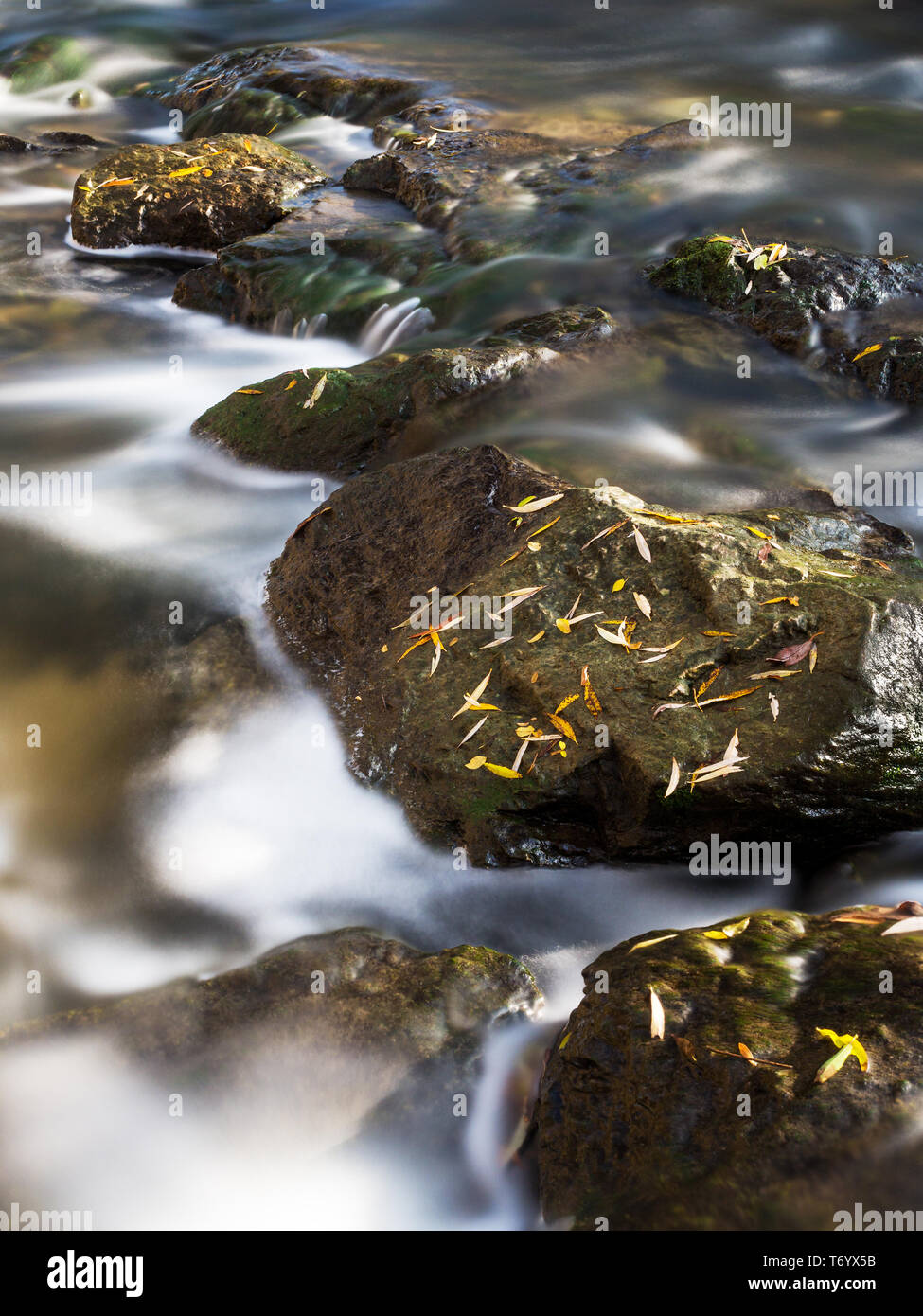rocks in a river Stock Photo - Alamy