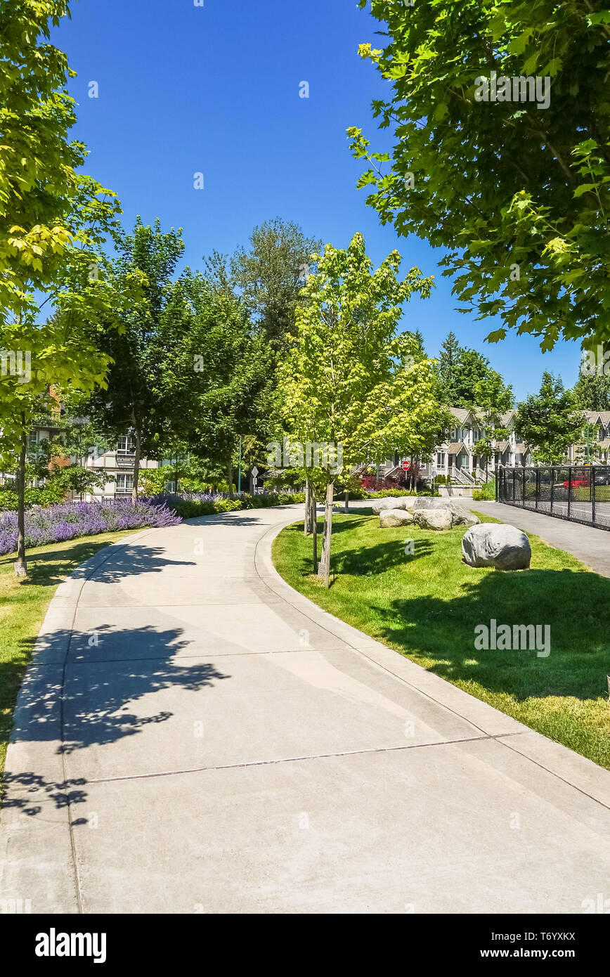 Paved walkway with maple trees in park area of residential community. Stock Photo