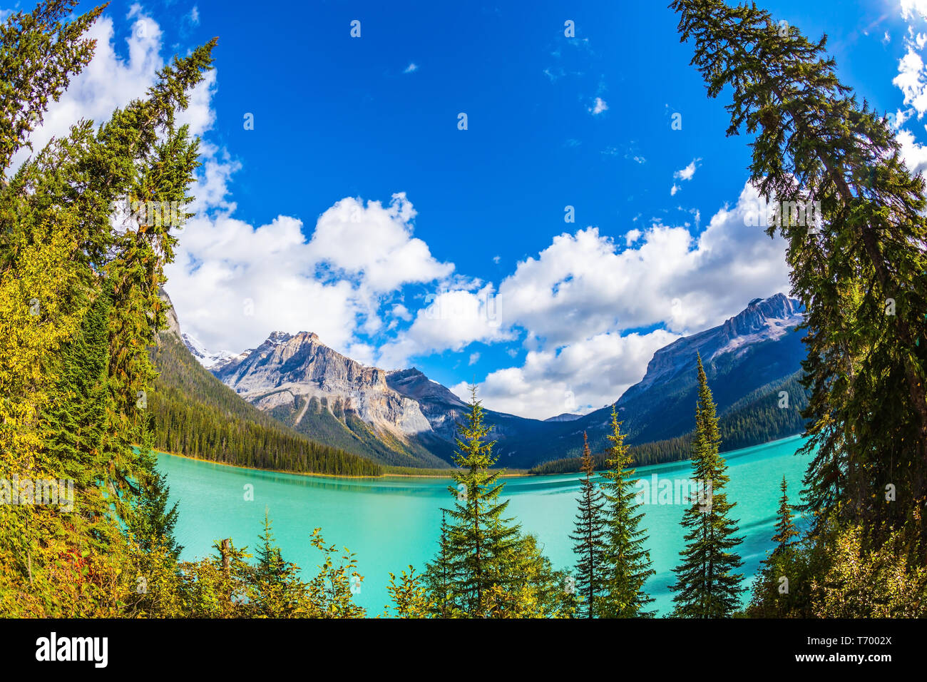 Yoho park hi-res stock photography and images - Alamy