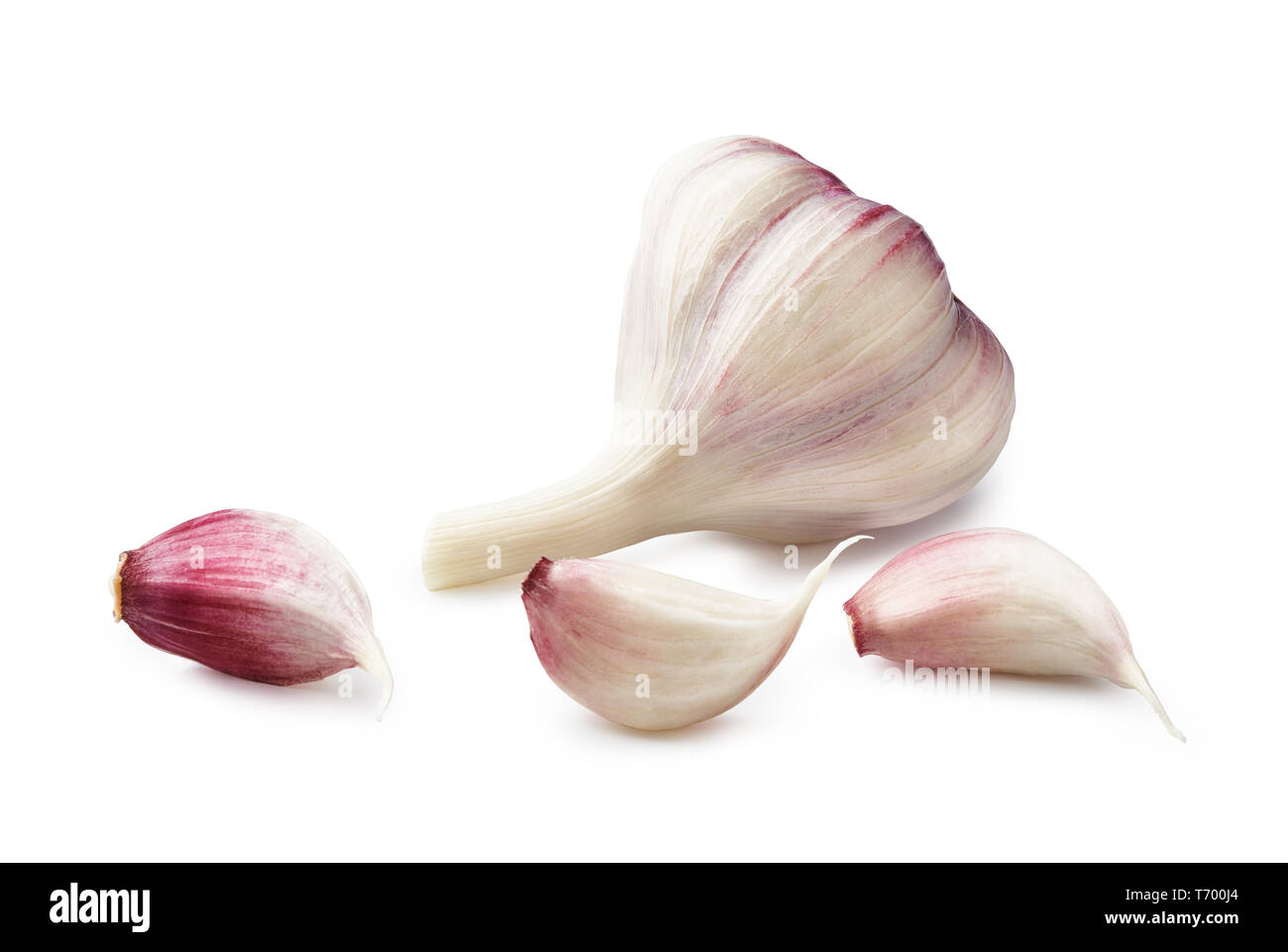 Fresh Garlic isolated on white background Stock Photo - Alamy