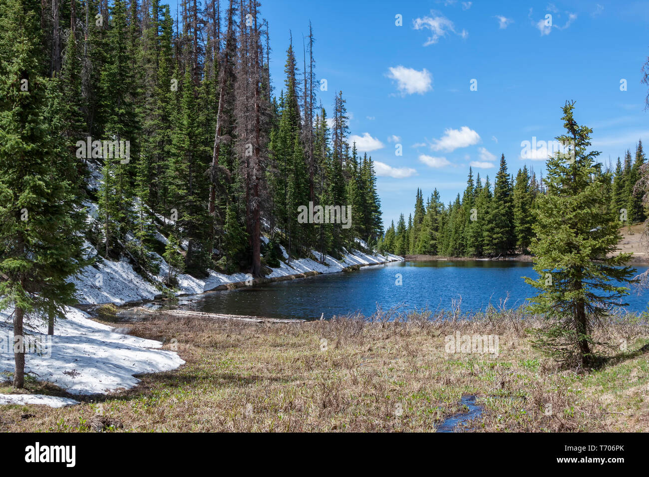 Irene lake hires stock photography and