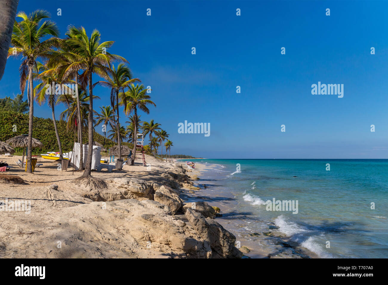 Tropical rocky beach coconut palm hi-res stock photography and images ...