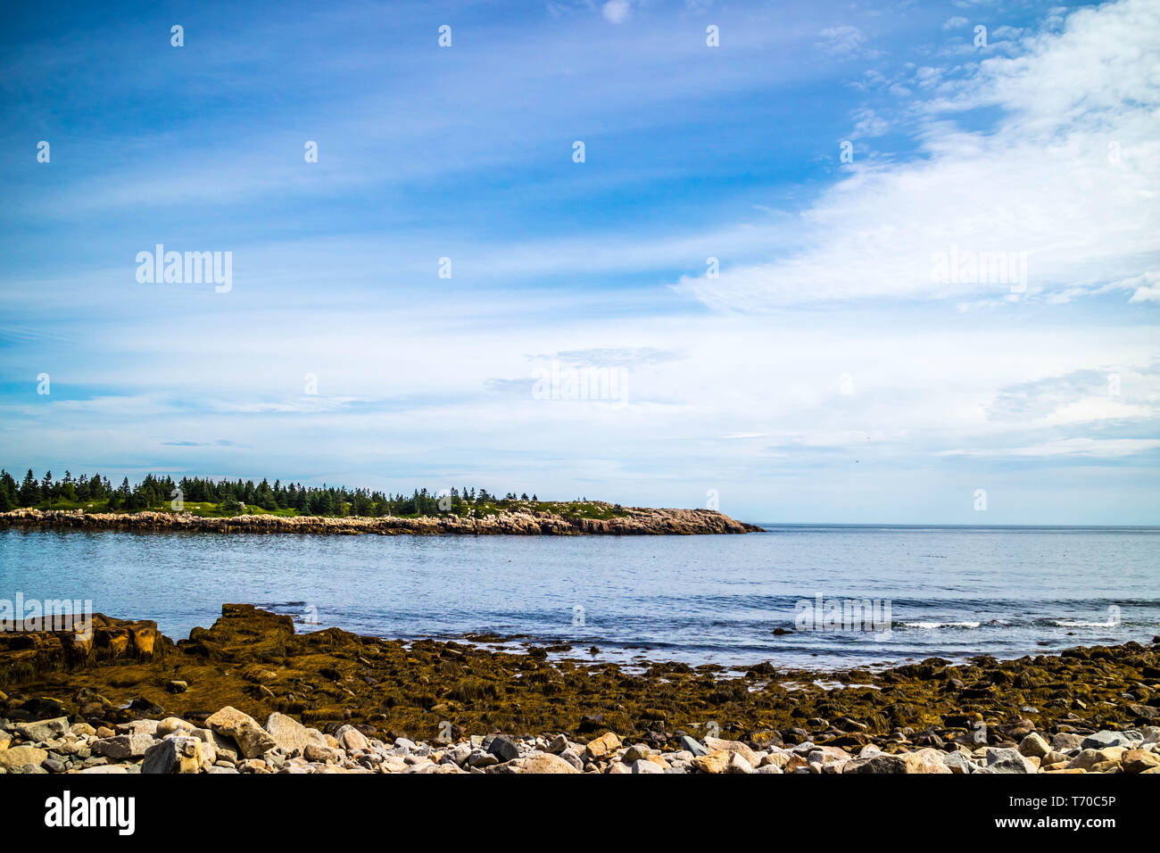 Schoodic Point in Acadia National Park, Maine Stock Photo Alamy