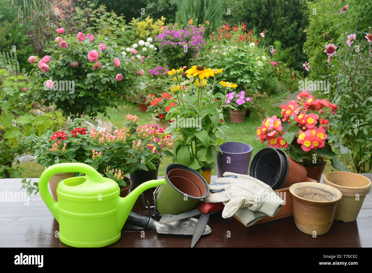 656 Stock Photos 656 Stock Images Alamy
