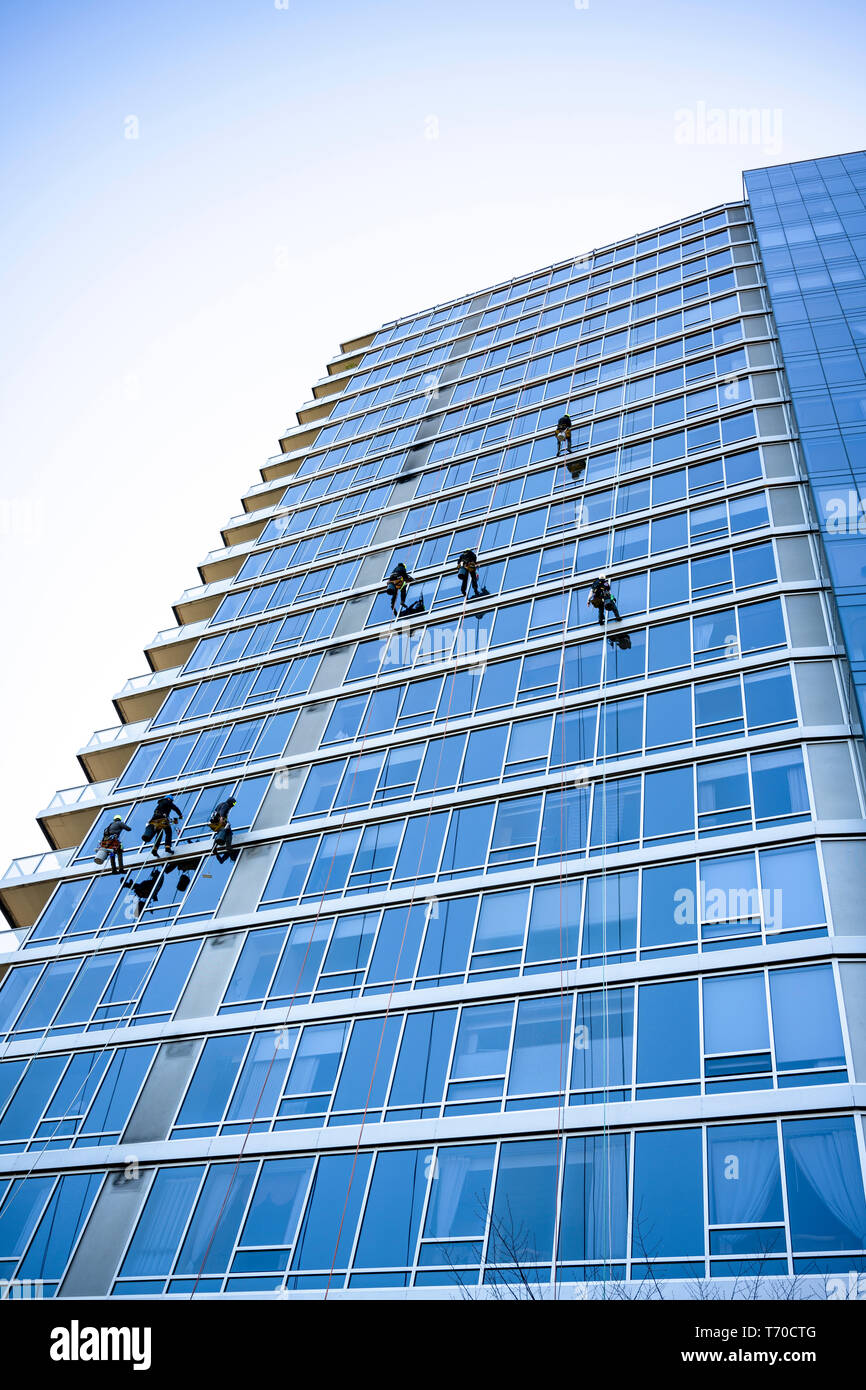 Window washers in special equipment with the necessary tools and detergents, like climbers, descend on the ropes from the roof of a skyscraper, each w Stock Photo