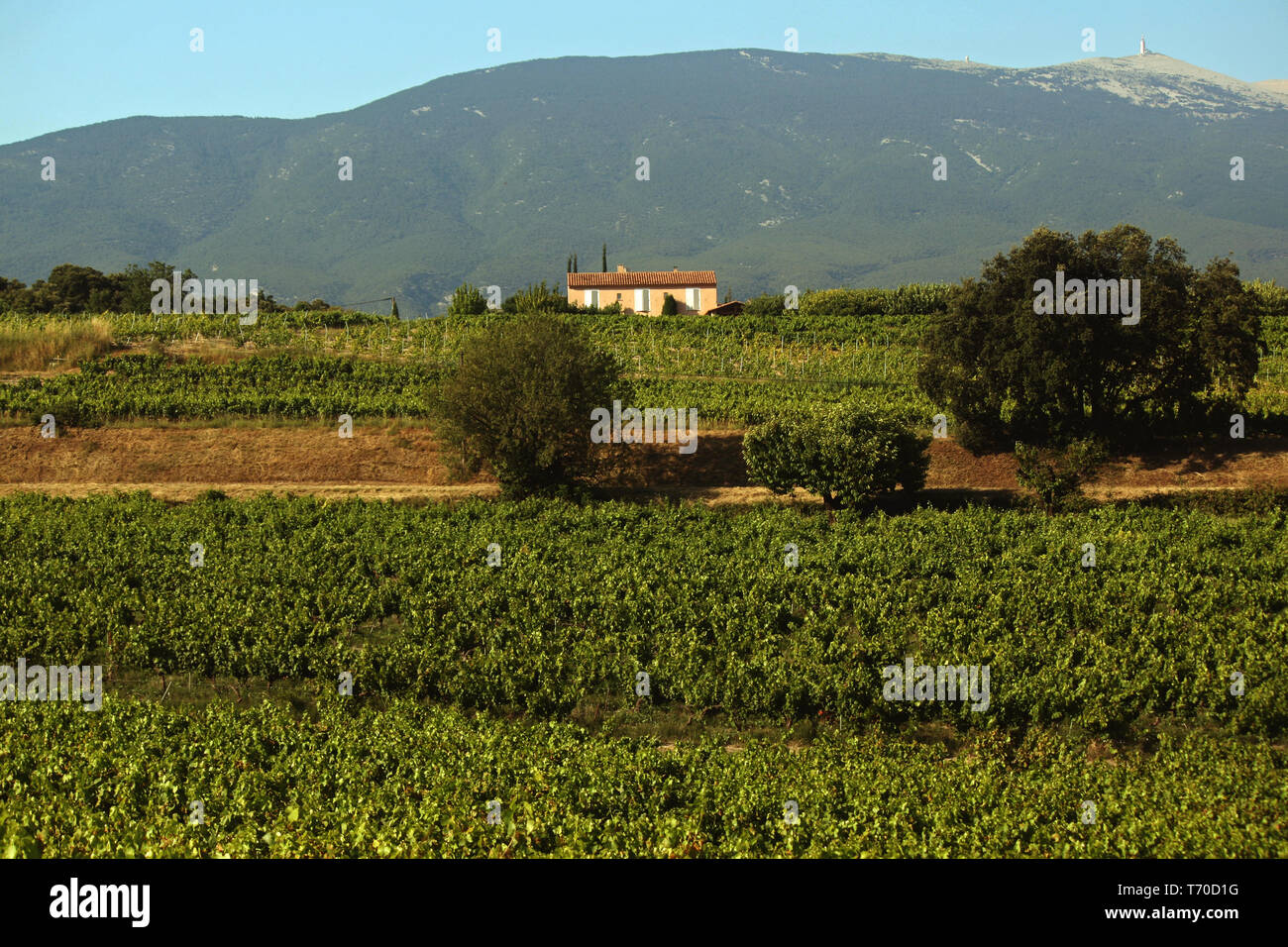Landscape near Mont Ventoux, France Stock Photo
