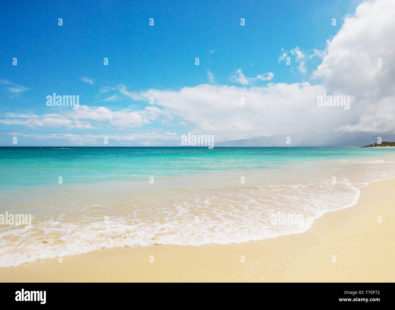 Hawaii beach p hi-res stock photography and images - Alamy