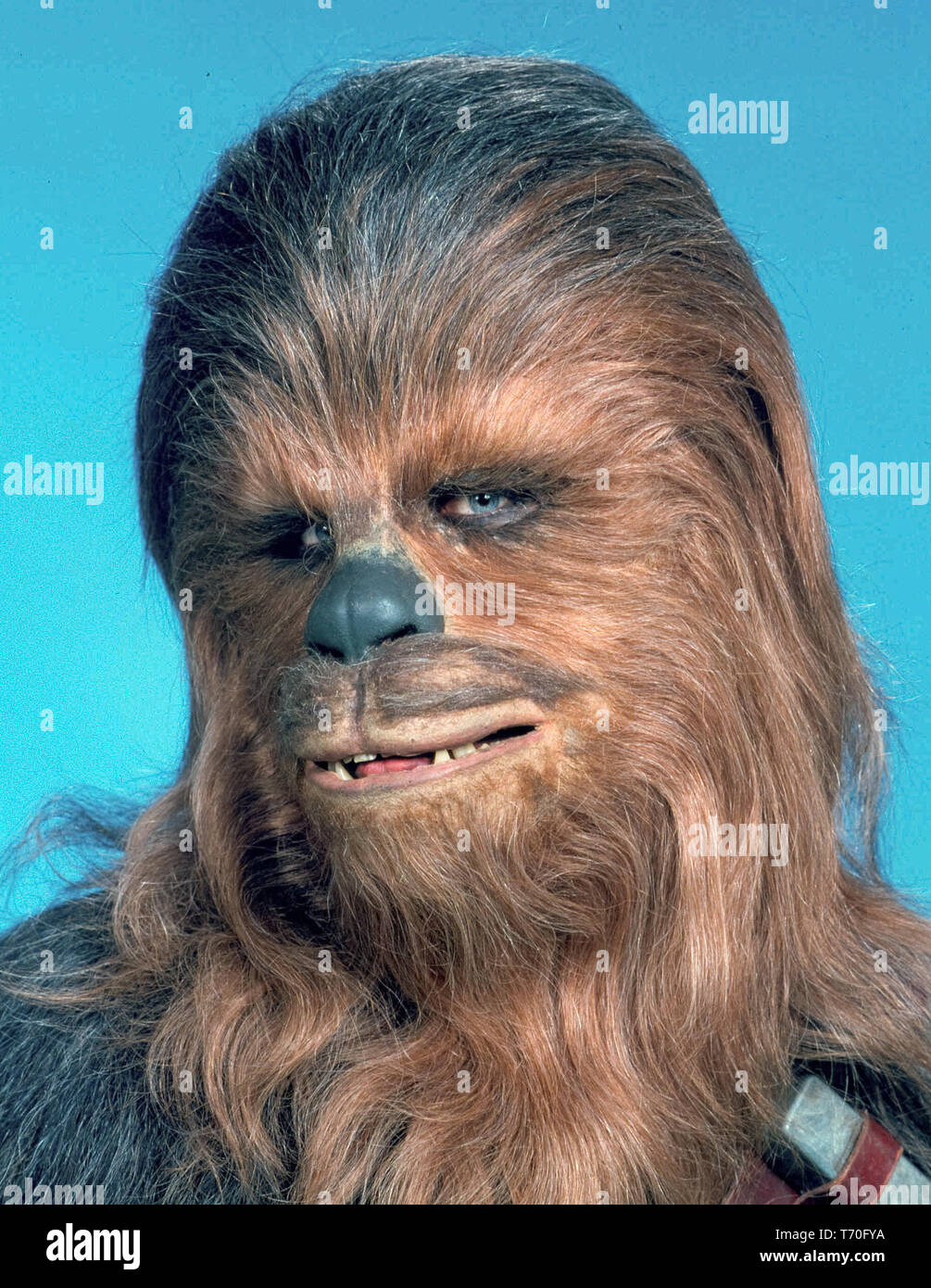 Star wars a new hope chewbacca hi-res stock photography and images - Alamy