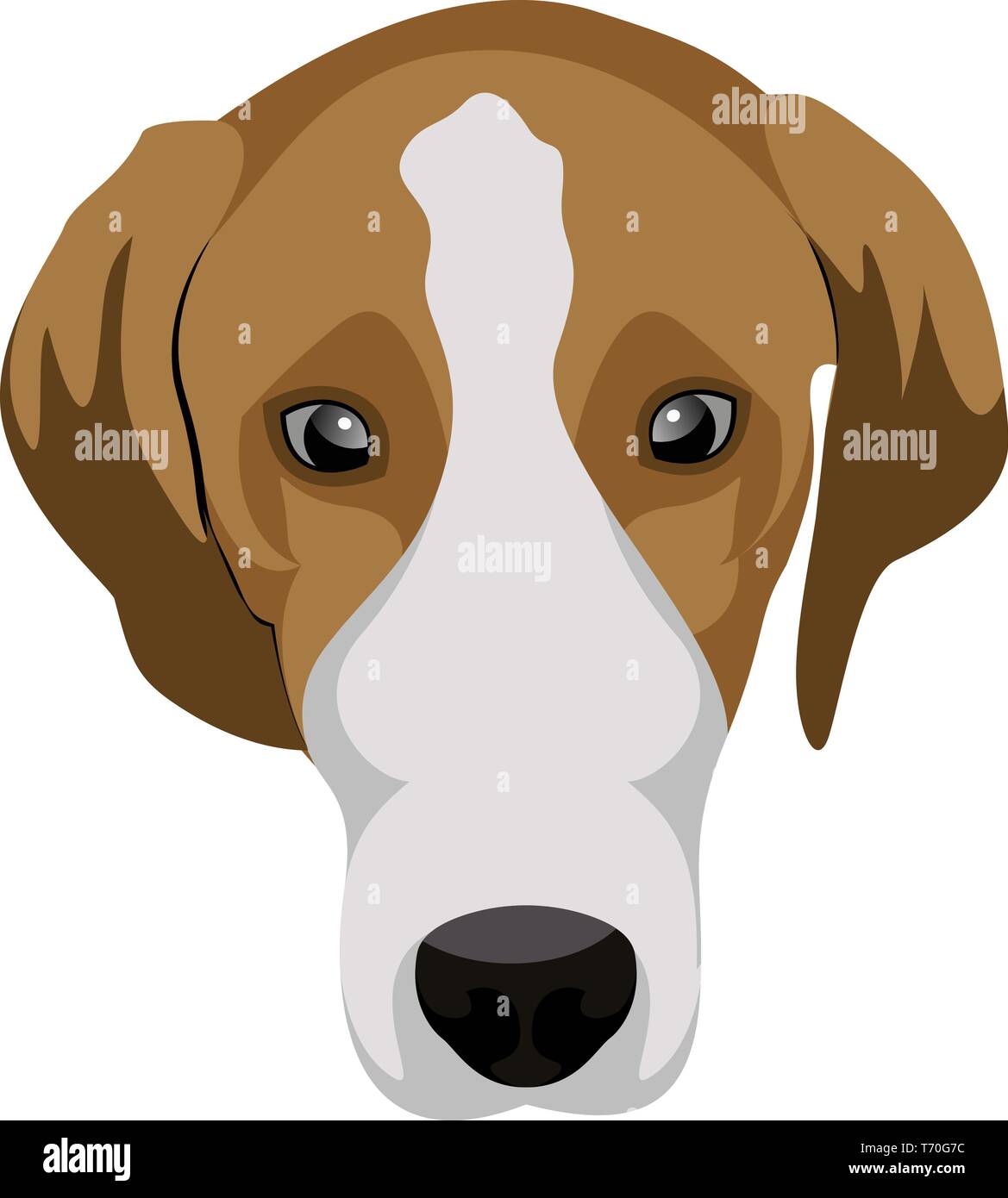 Beagle illustration vector on white background Stock Vector Image & Art ...