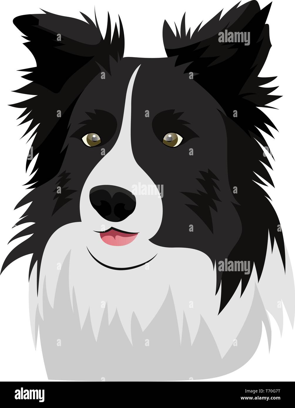 Border Collie Illustration Vector On White Background Stock Vector Image Art Alamy Border Collie Illustration Vector On White Background Stock Vector Image Art Alamy