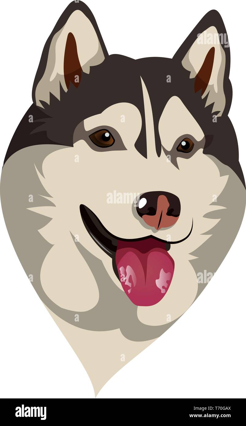 Husky illustration vector on white background Stock Vector Image & Art ...