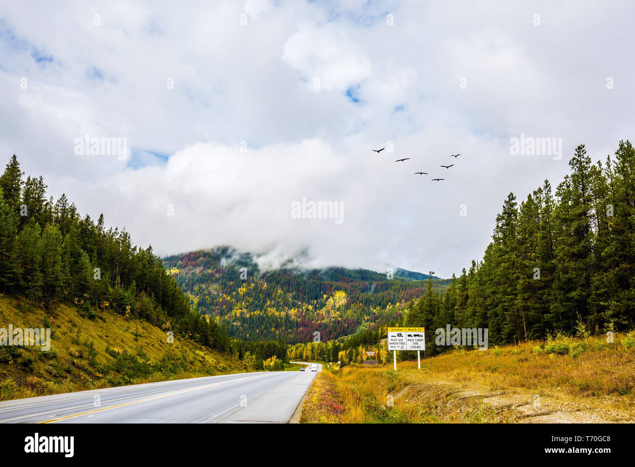 The nature of the Rockies of Canada Stock Photo