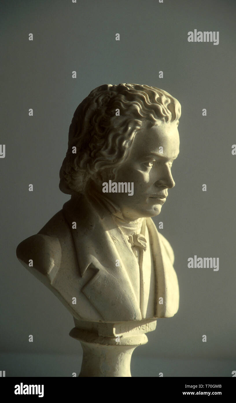 BUST OF THE COMPOSER LUDWIG VAN BEETHOVEN Stock Photo
