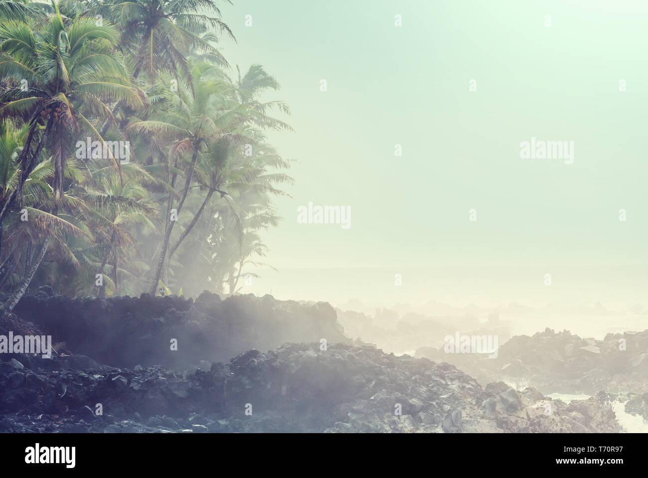 Hawaii ocean ledge hi-res stock photography and images - Alamy