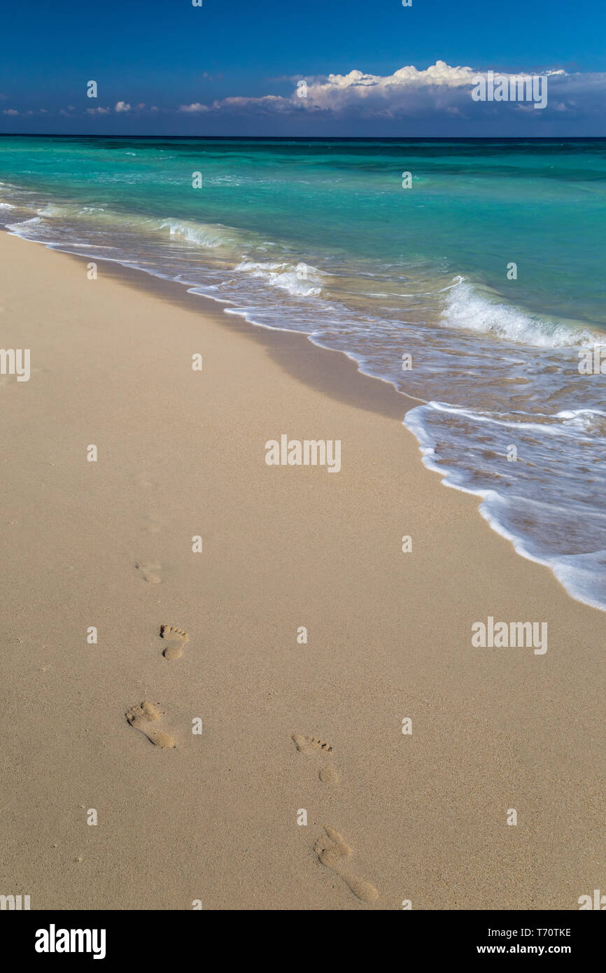 Footprints on a tropical white sand beach Stock Photo