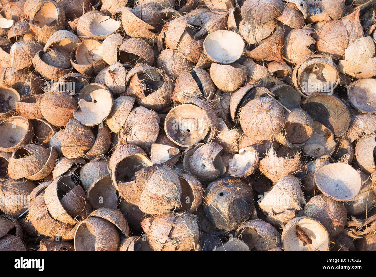 Coconut shells, Thailand Stock Photo