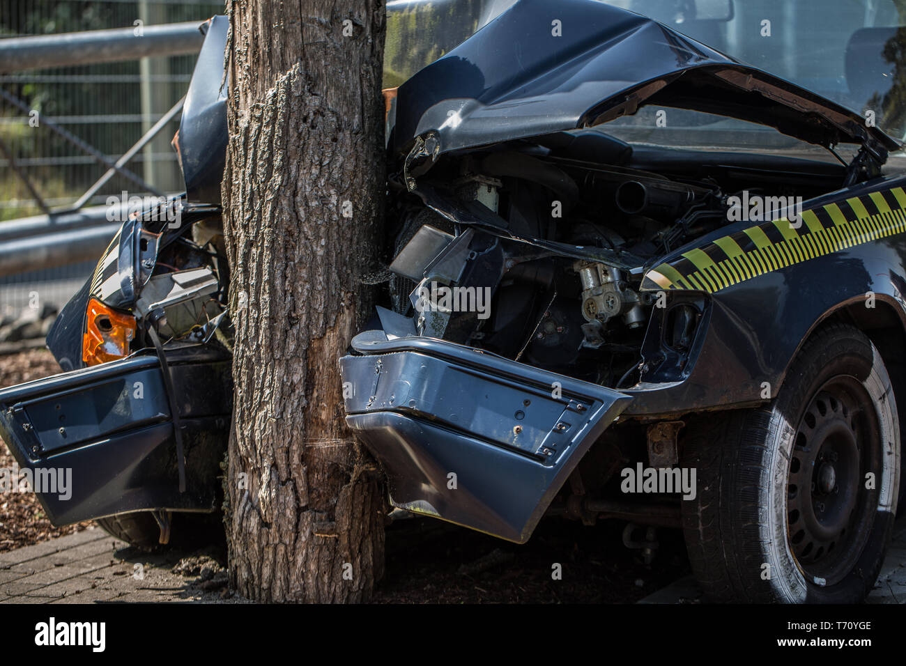 Collision of car and tree Stock Photo