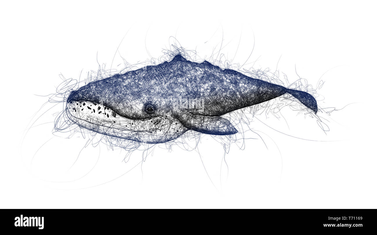 whale doodle illustration Stock Photo
