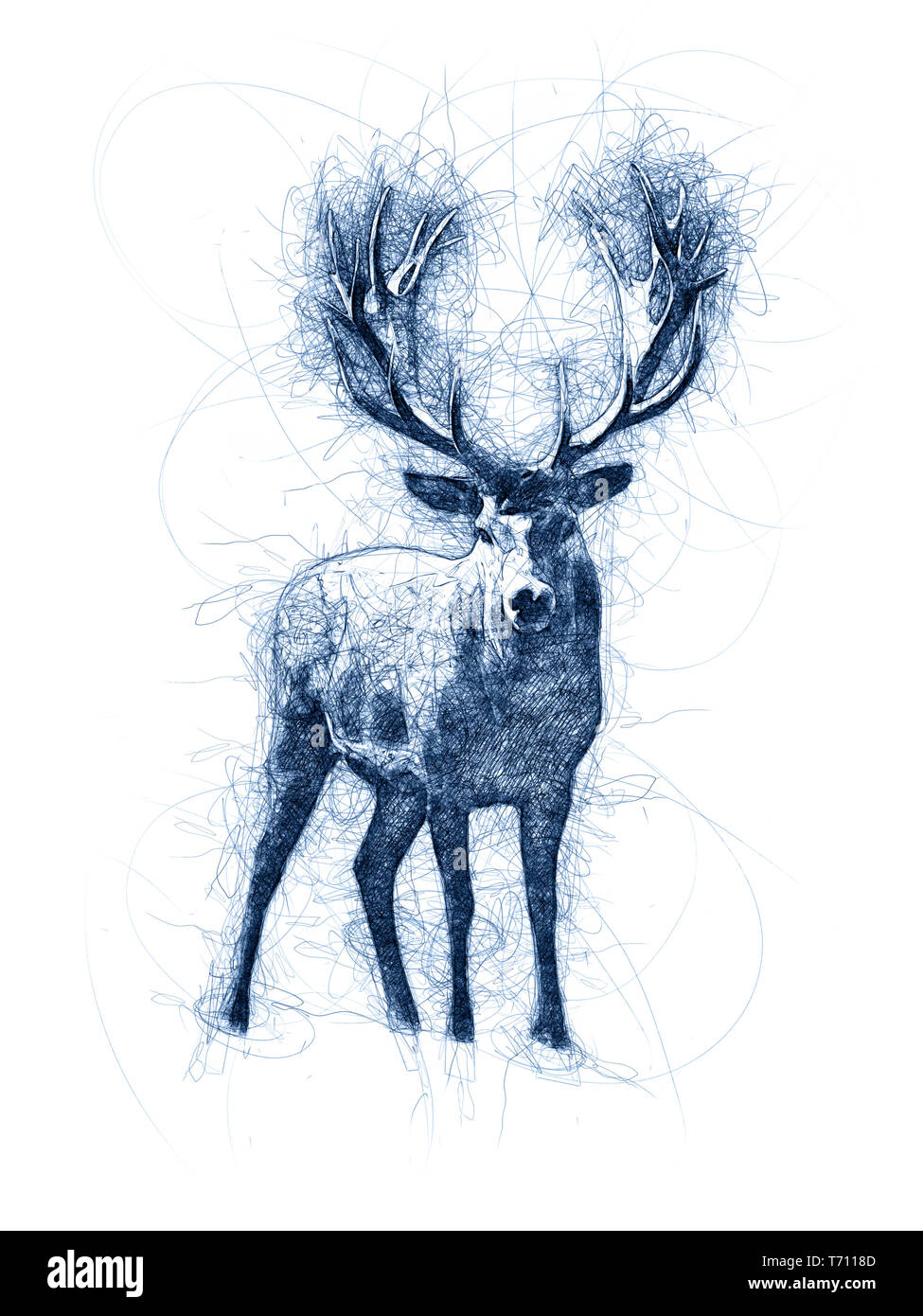 Nursery print Animal drawing Hand drawn Stag biro drawing Deer
