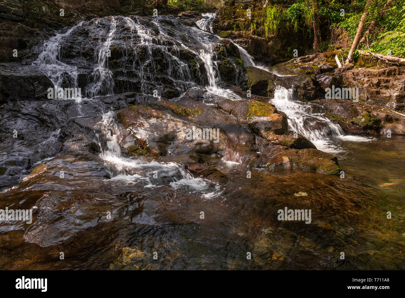 Fairy Falls Waterfall At Trefriw Snowdonia North Wales Stock Photo Alamy