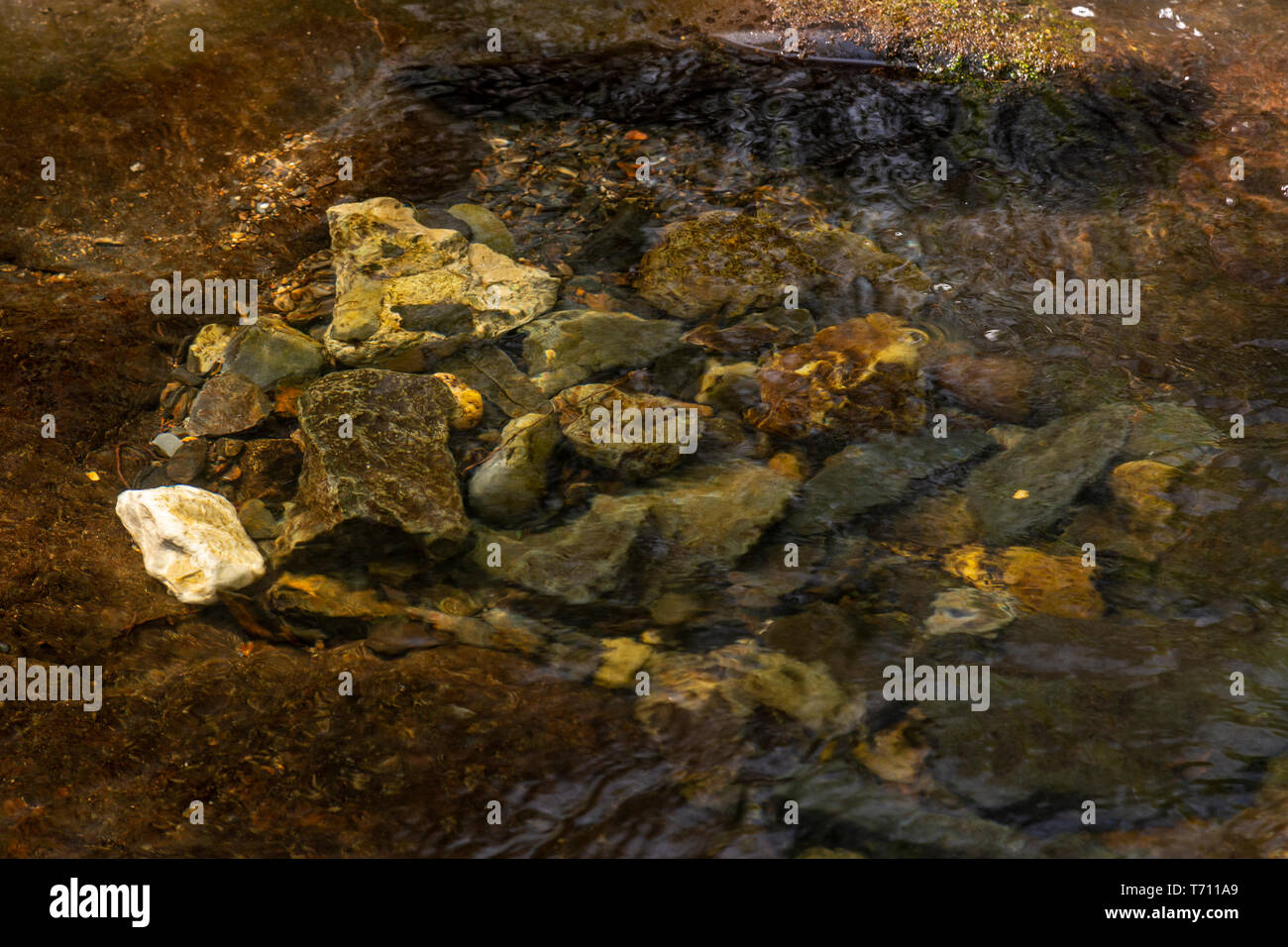 Fairy Falls waterfall at Trefriw, Snowdonia, North Wales Stock Photo