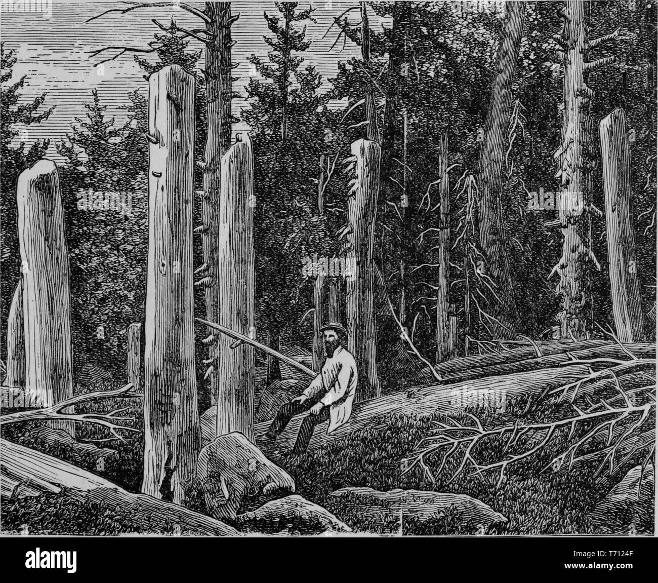 Engraving of a man resting in a forest, from the book 'Crofutt's new overland tourist and Pacific coast guide', Starvation Camp, Donner Lake, California, 1879. Courtesy Internet Archive. () Stock Photo