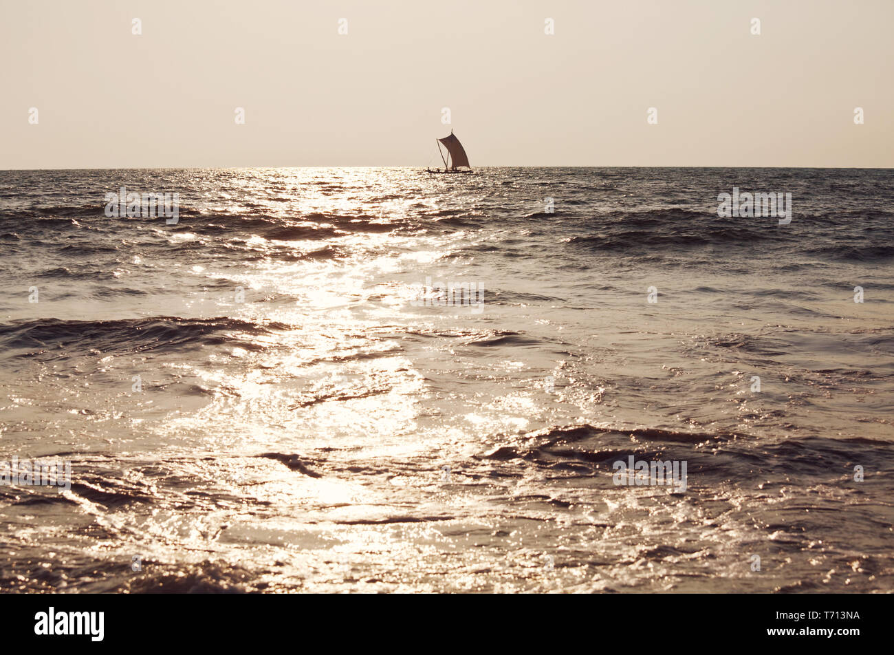 Boat on Sri Lanka Stock Photo - Alamy