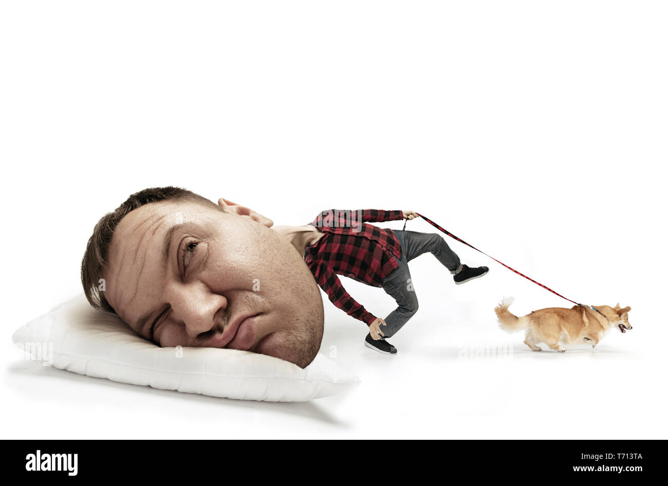 Street is calling, let's run. Big head on small body lying on the pillow. Man with little corgi cannot wake up 'cause headache and overslept. Concept of employment, hurrying up, time limits, vertigo. Stock Photo