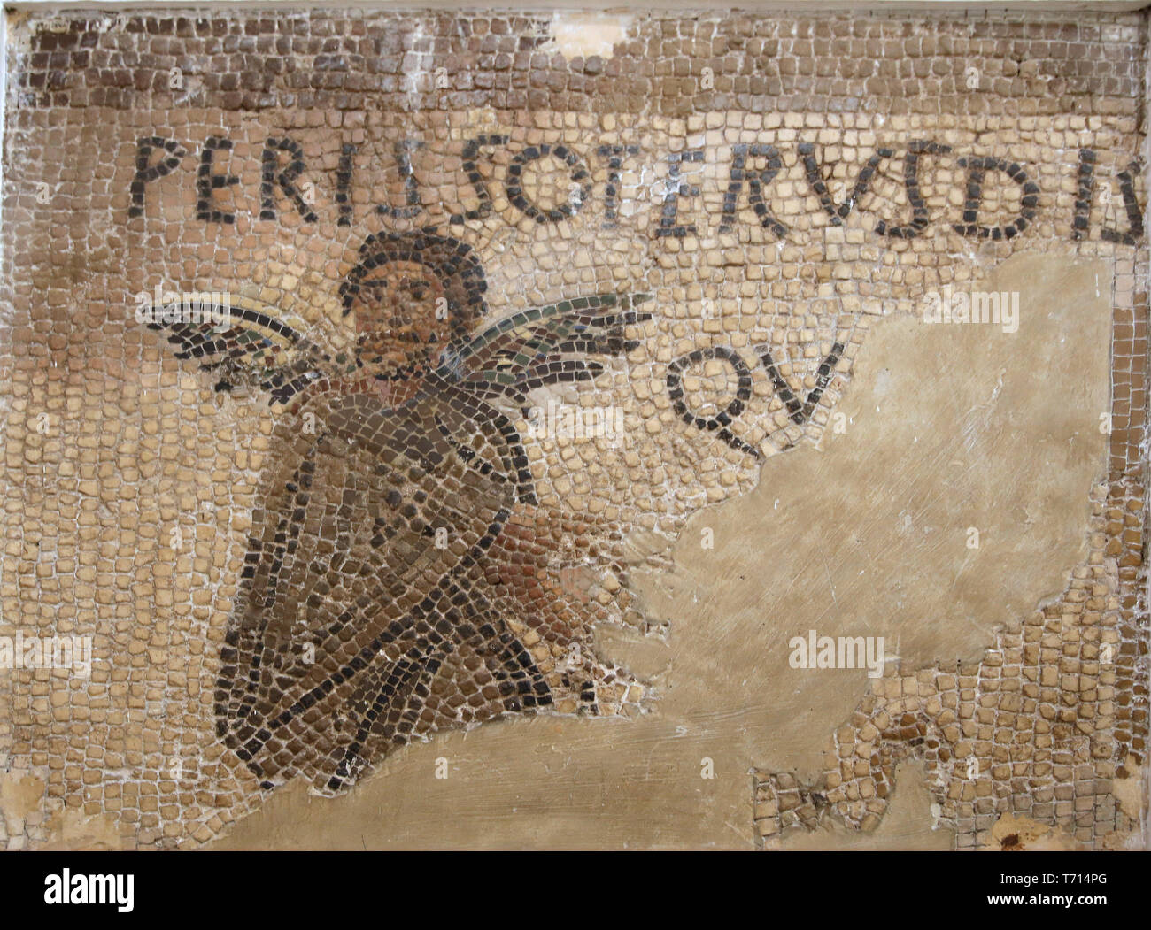 Mosaic of Perissoterus. Roman era. Italica, Andalusia, Spain. 2nd century. Archaeological Museum of Seville. Spain. Stock Photo
