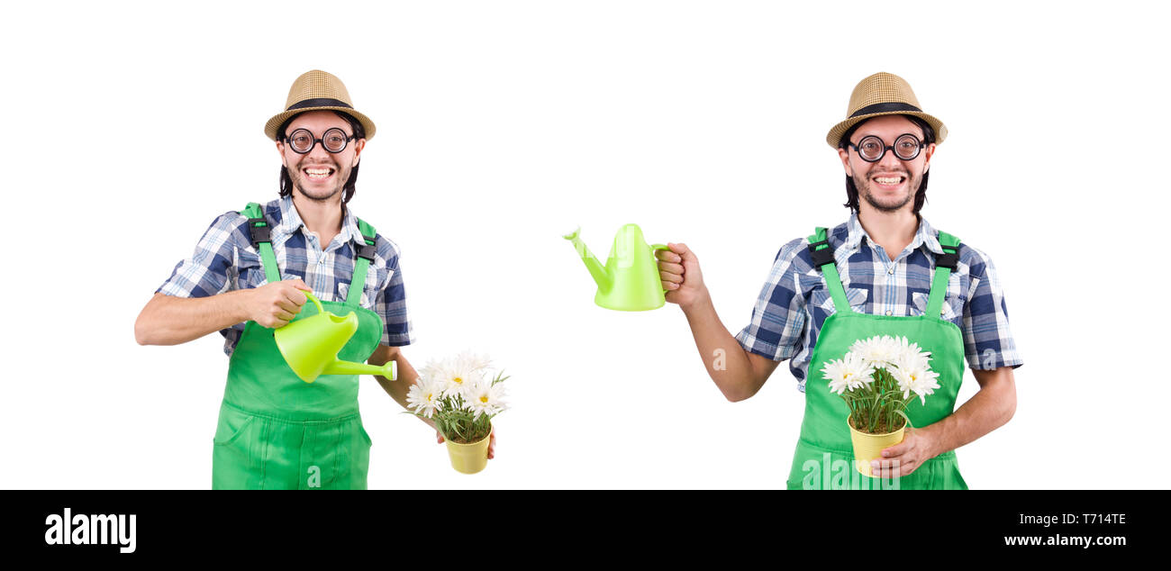 Funny gardener with watering can isolated on white Stock Photo - Alamy