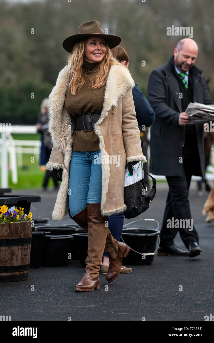 Carol Vorderman at Chepstow Racecourse to watch her horse 'Subway Surf' racing. Stock Photo