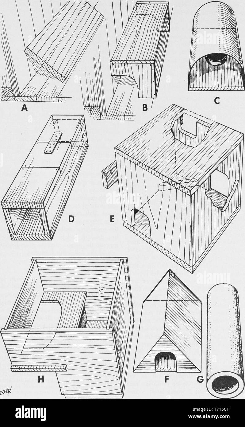 Engraving of the containers for safe exposure of baits used to poison the rats, from the book 'Control of rats and mice' by Tracy Irwin Storer, 1948. Courtesy Internet Archive. () Stock Photo