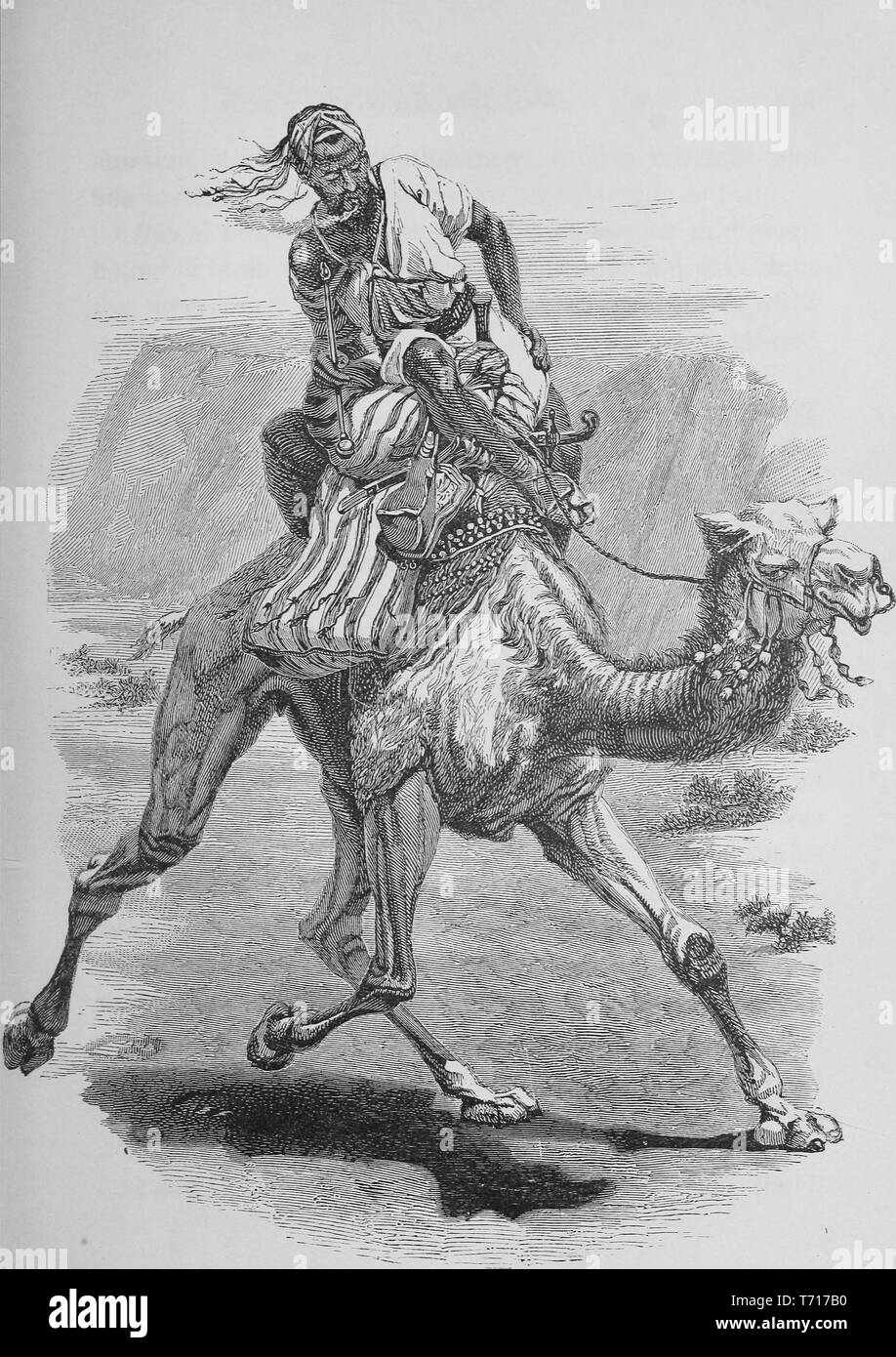 Engraving of a man riding a camel, from the book 'Through Bible Lands:  Notes Of Travel In Egypt, The Desert, And Palestine' by Philip Schaff,  1878. Courtesy Internet Archive Stock Photo - Alamy