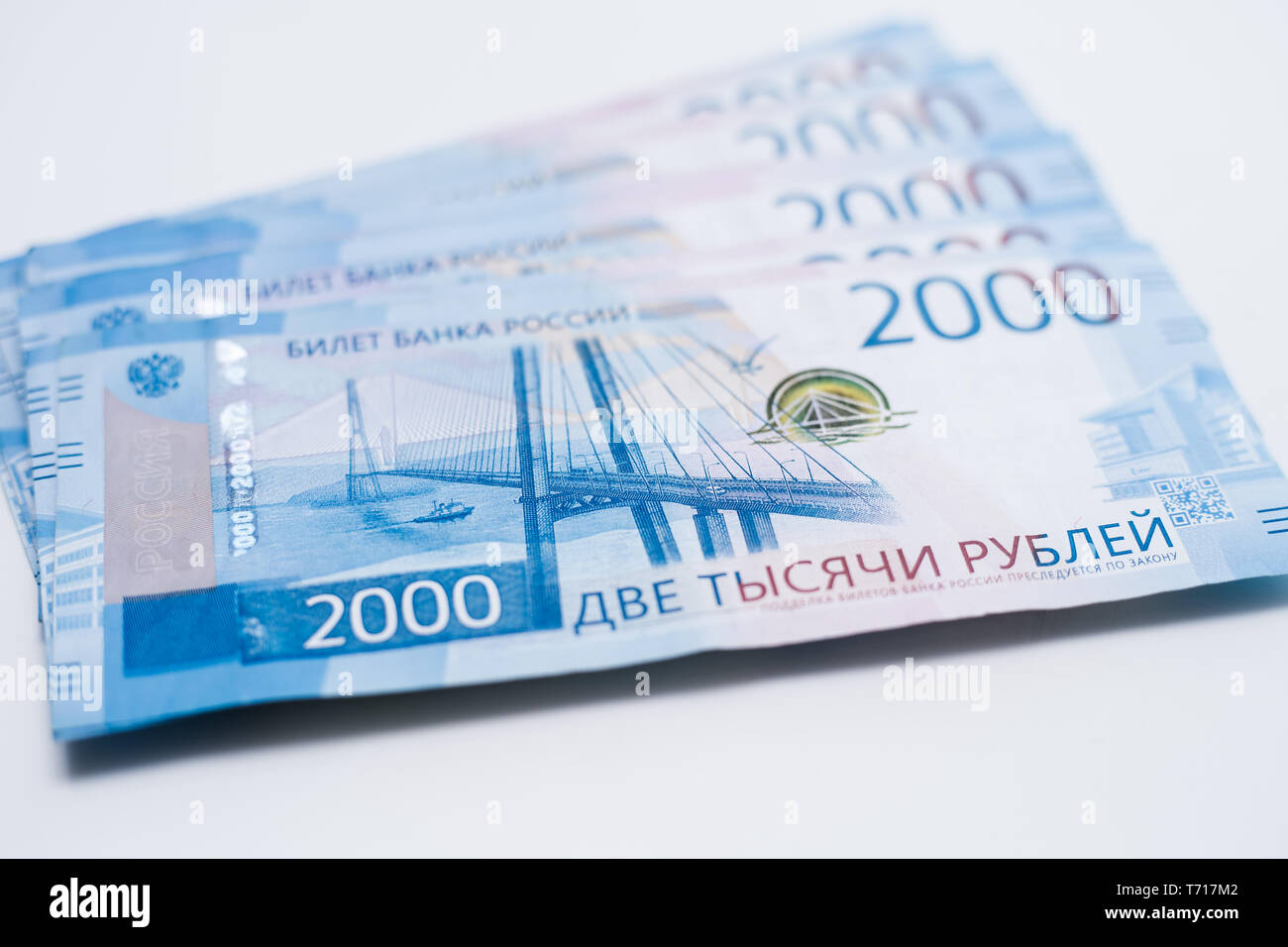 Мкк денежное дерево оформить онлайн