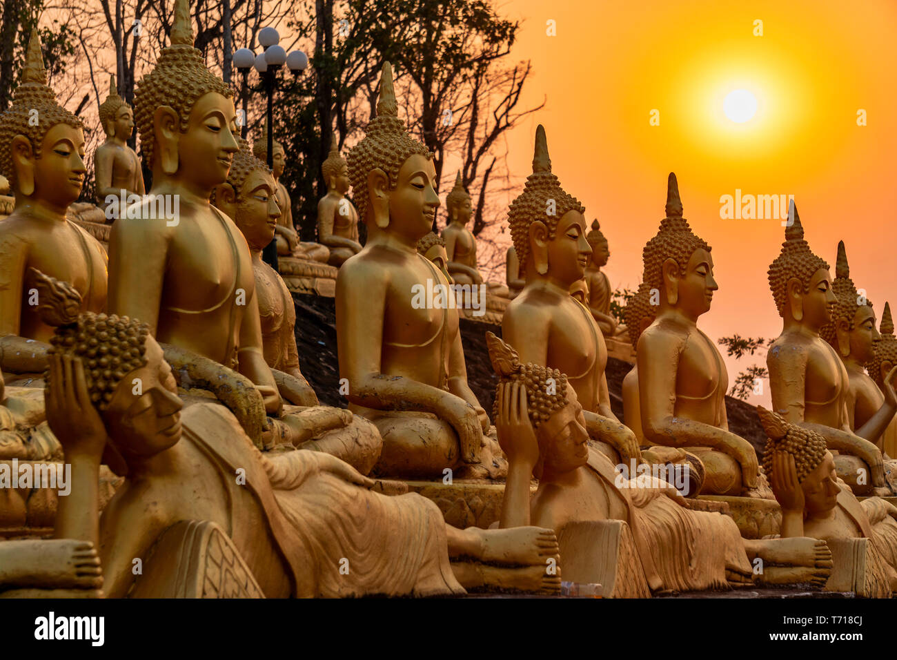 Golden Buddha Statues , Wat Phu Salao, Pakse, Laos, Indochina