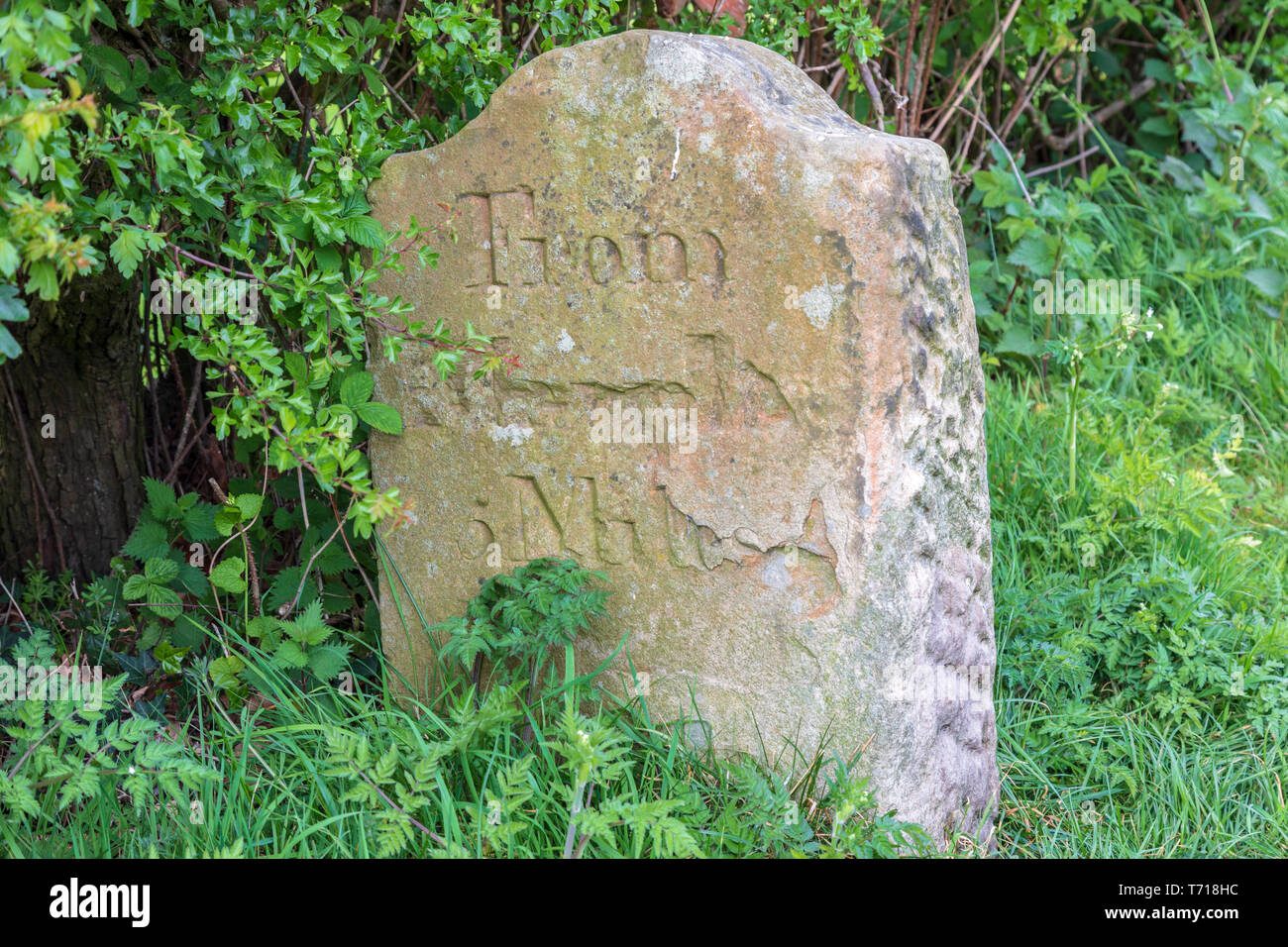 Stone milestone on the Macclesfield canal tow path.  The milestone reads From Marple 5 miles Stock Photo