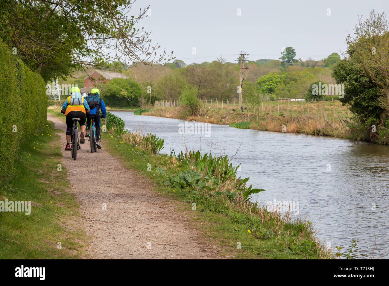 A couple riding mountain bikes along a canal towpath. The cyclists are middle aged. Stock Photo