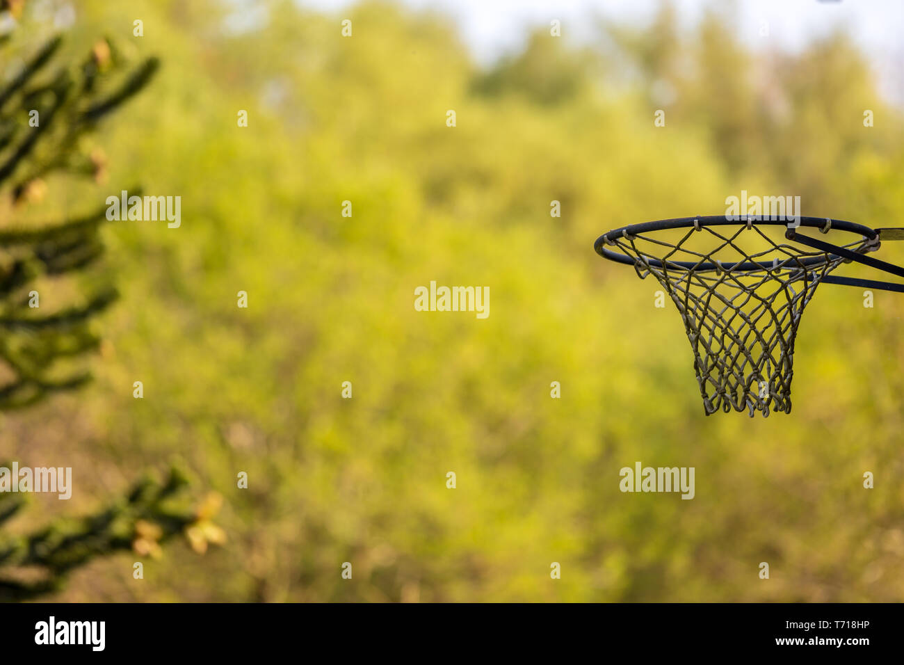 Basketball hoop outside in front of trees with copyspace left.. Lonely - no one to play with. Bokeh Stock Photo