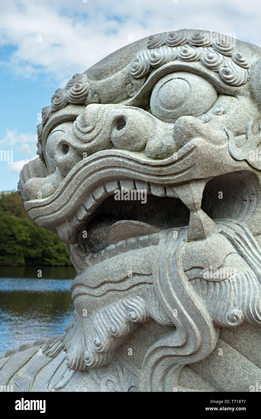 Closeup of head of Ningbo City Chinese lion sculpture in carved stone in Highfield Park, Nottingham University Gardens, England, UK Stock Photo